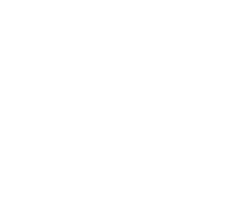 bfpizza2
